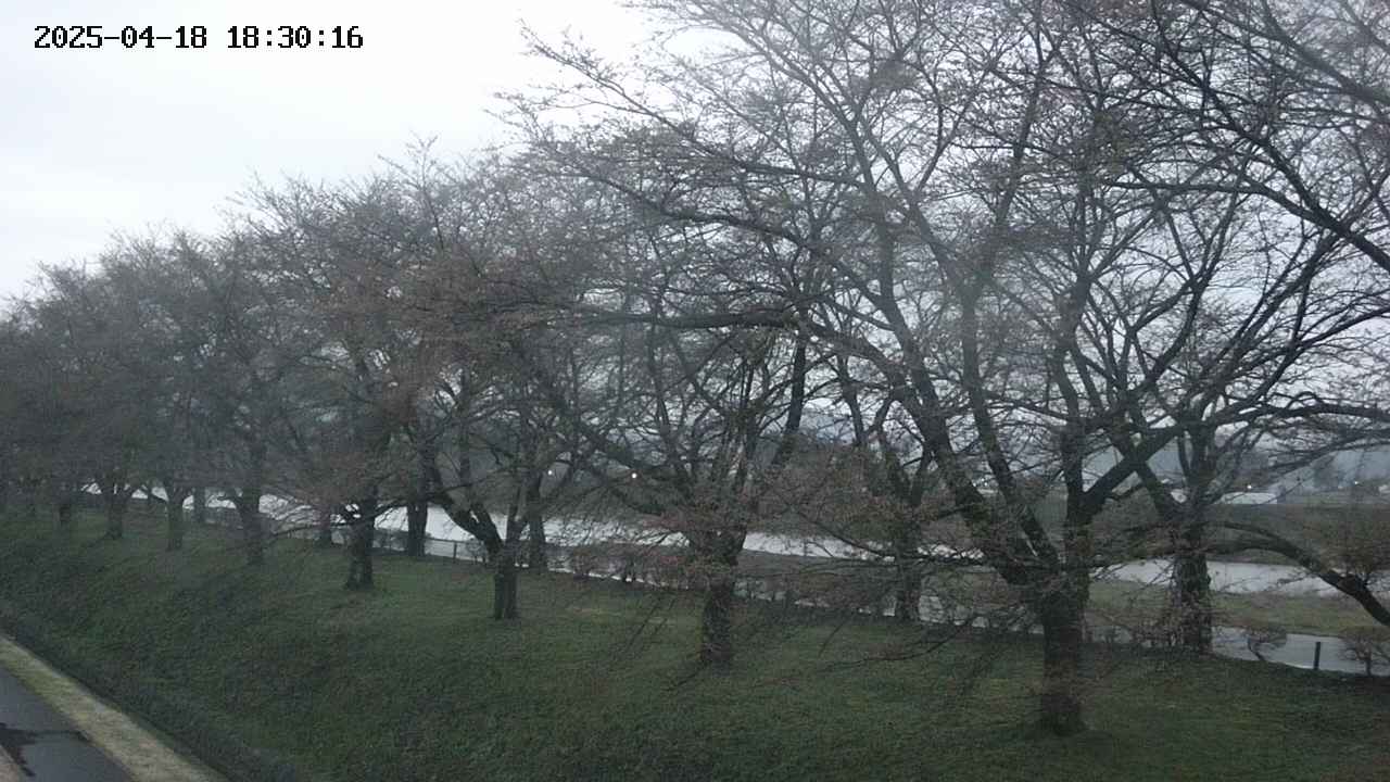 ochiai1-20250418183017.jpg