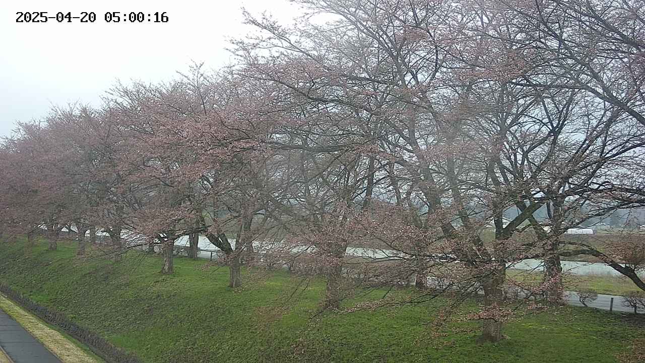 ochiai1-20250420050018.jpg