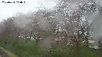 ochiai1-20250420140015.jpg