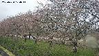 ochiai1-20250420170016.jpg