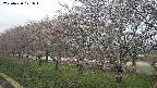 ochiai1-20250420171018.jpg