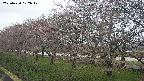 ochiai1-20250420172019.jpg