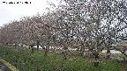 ochiai1-20250420173020.jpg
