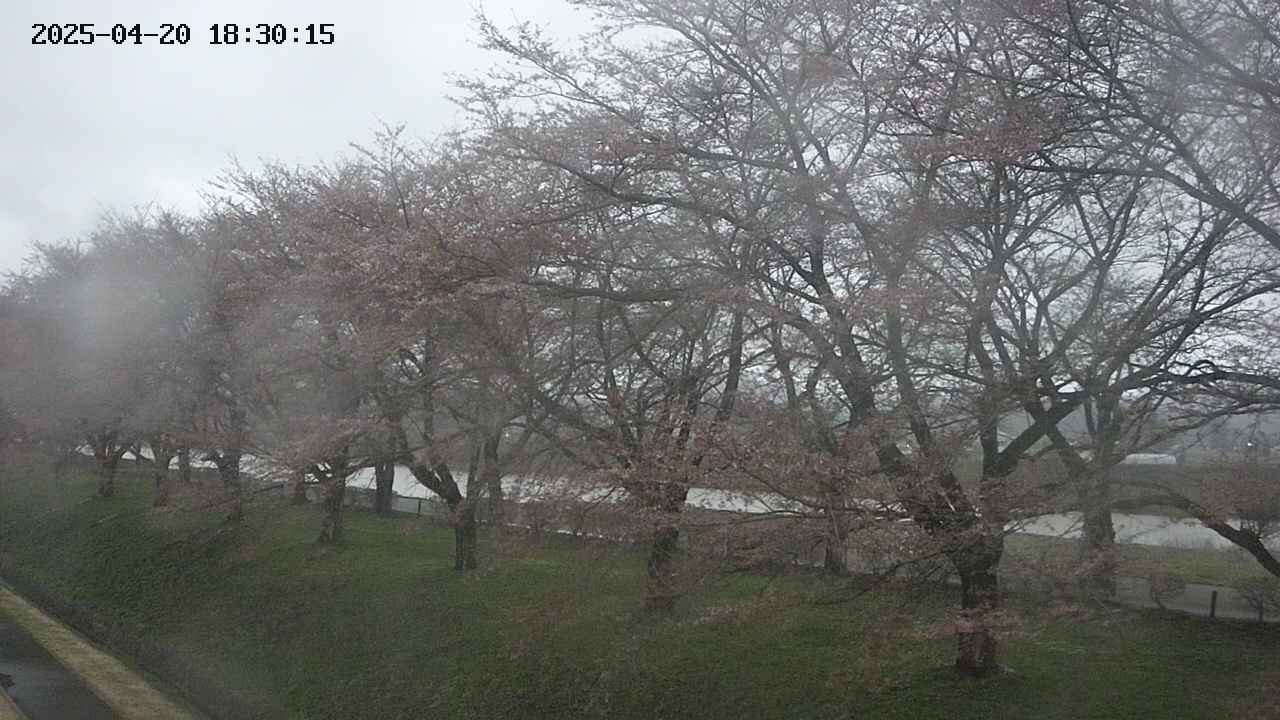 ochiai1-20250420183017.jpg