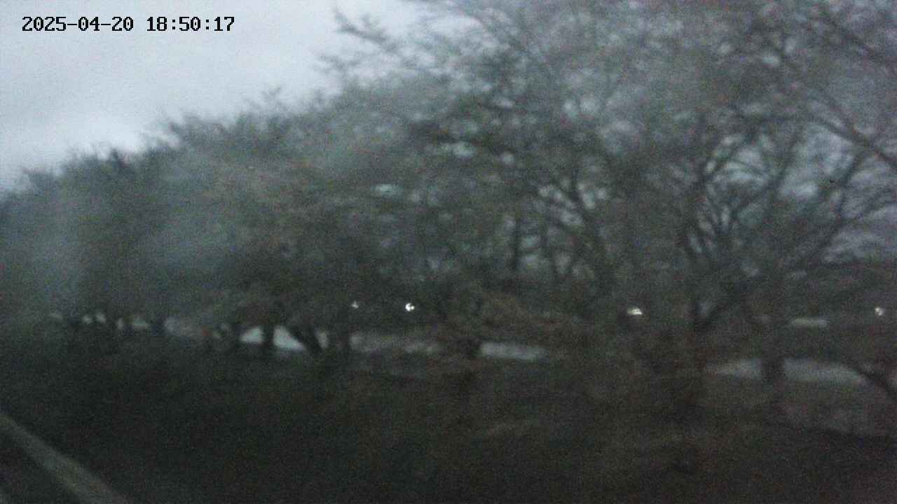 ochiai1-20250420185018.jpg