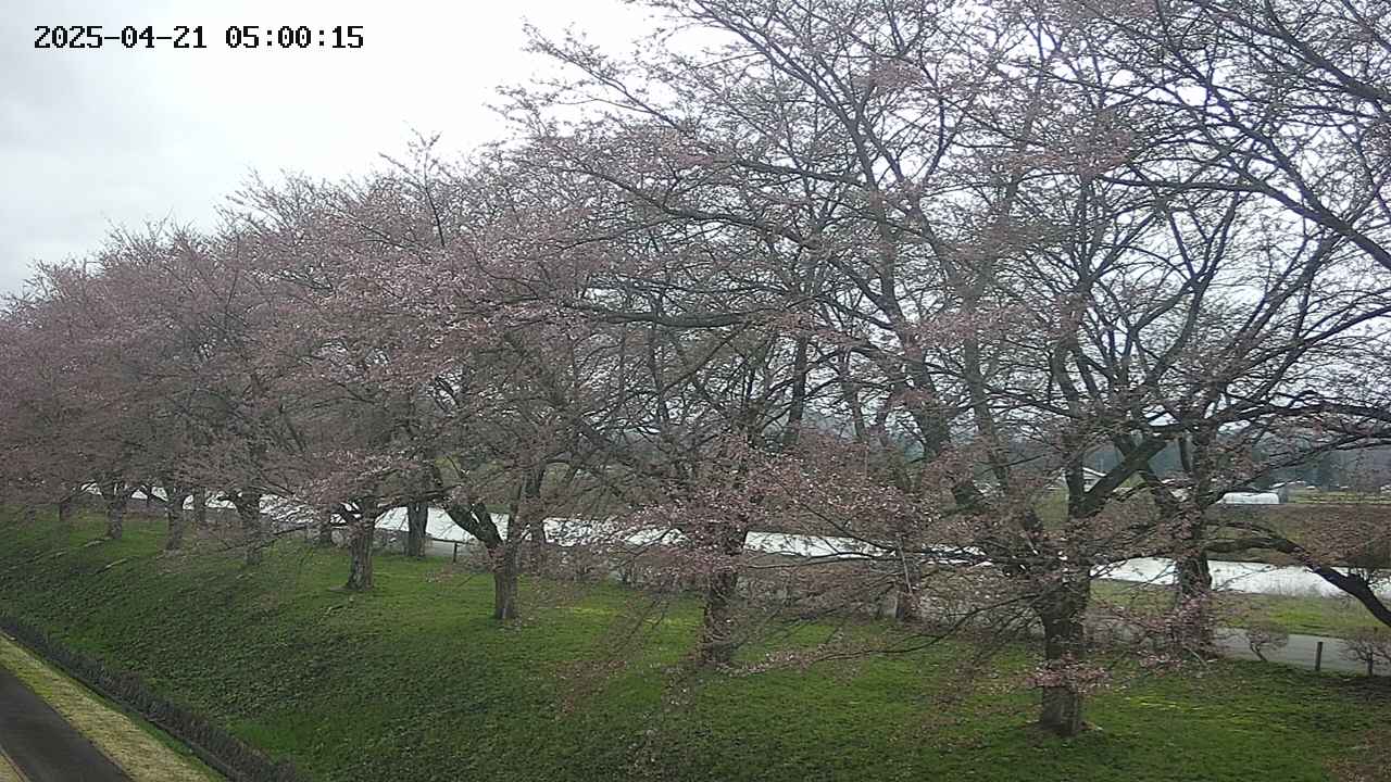 ochiai1-20250421050017.jpg