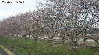 ochiai1-20250421075017.jpg