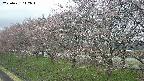 ochiai1-20250421112017.jpg