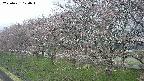 ochiai1-20250421120017.jpg