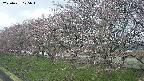 ochiai1-20250421125016.jpg