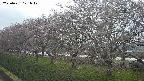 ochiai1-20250421171020.jpg