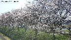 ochiai1-20250422130019.jpg