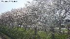 ochiai1-20250422140017.jpg