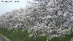 ochiai1-20250423061015.jpg