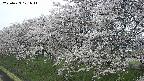 ochiai1-20250423101016.jpg
