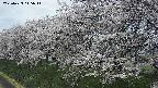 ochiai1-20250423115016.jpg