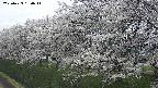 ochiai1-20250423130018.jpg