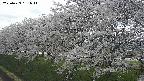 ochiai1-20250423161015.jpg