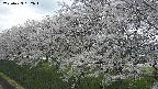 ochiai1-20250423162017.jpg