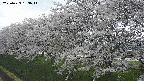 ochiai1-20250423163015.jpg
