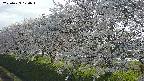 ochiai1-20250423170016.jpg