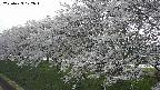 ochiai1-20250423172017.jpg
