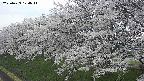 ochiai1-20250423174015.jpg