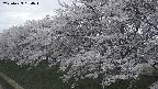 ochiai1-20250423184017.jpg