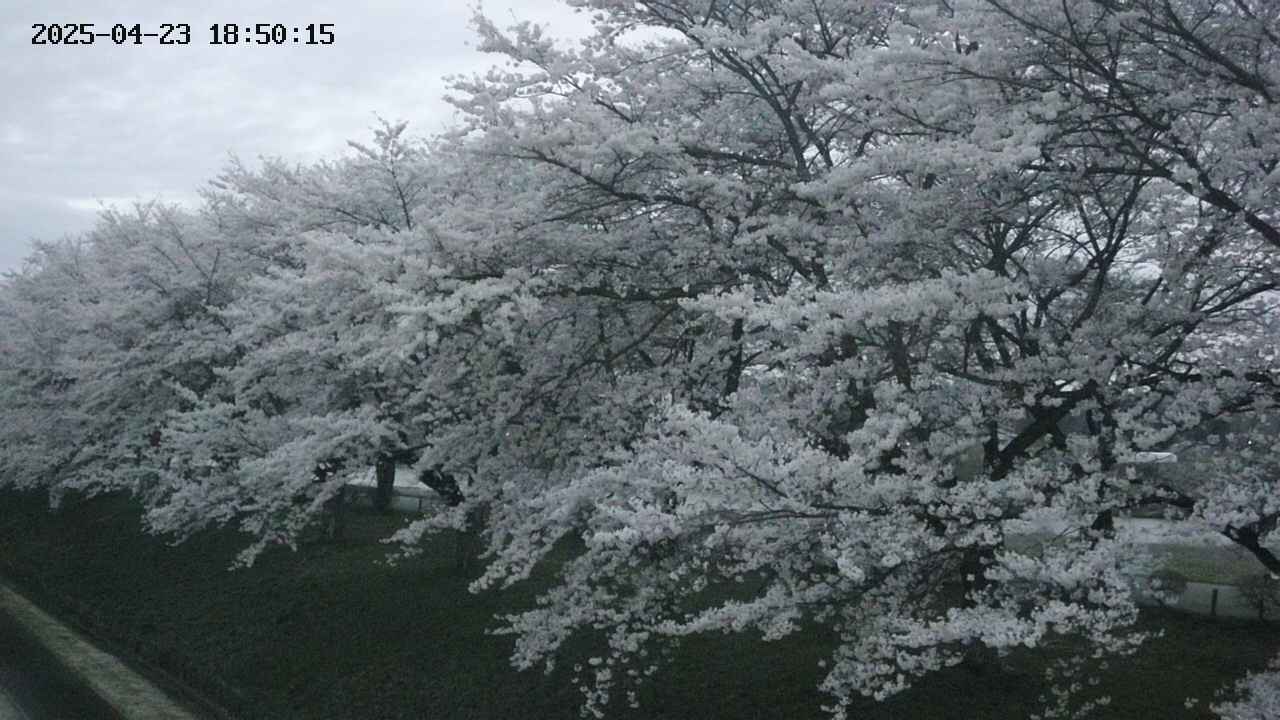 ochiai1-20250423185016.jpg