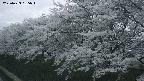 ochiai1-20250423185016.jpg