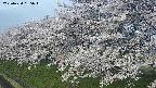 ochiai1-20250424055014.jpg