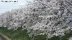 ochiai1-20250424104017.jpg