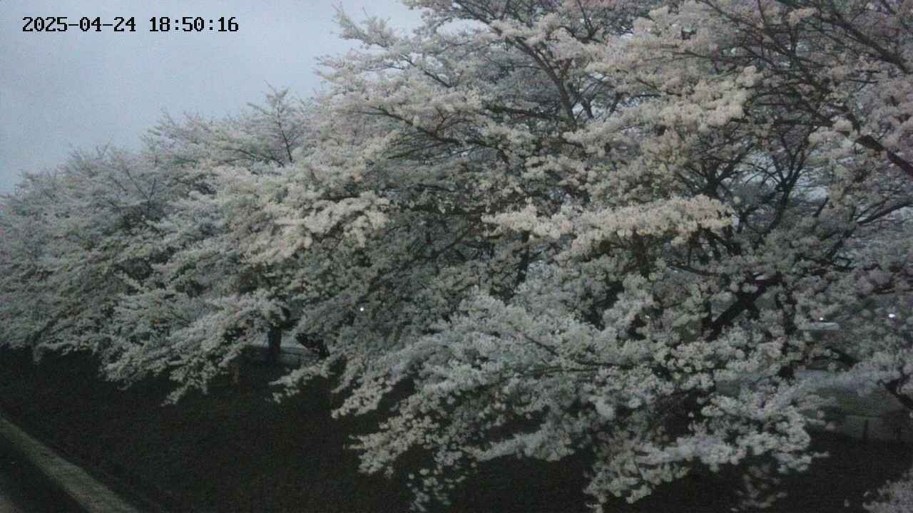 ochiai1-20250424185017.jpg