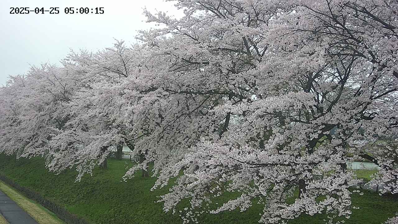 ochiai1-20250425050016.jpg