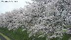 ochiai1-20250425071015.jpg
