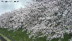 ochiai1-20250425090017.jpg