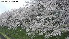 ochiai1-20250425100016.jpg