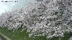 ochiai1-20250425101018.jpg