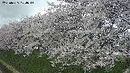 ochiai1-20250425104016.jpg