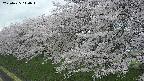 ochiai1-20250425110017.jpg