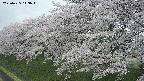 ochiai1-20250425113017.jpg