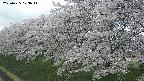 ochiai1-20250425123019.jpg