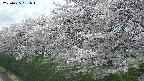 ochiai1-20250425131015.jpg