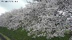 ochiai1-20250425141015.jpg