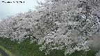 ochiai1-20250425142015.jpg