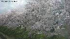 ochiai1-20250425143018.jpg