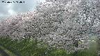 ochiai1-20250425144016.jpg