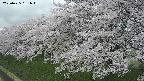 ochiai1-20250425151017.jpg