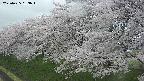 ochiai1-20250425153016.jpg