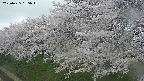 ochiai1-20250425155016.jpg